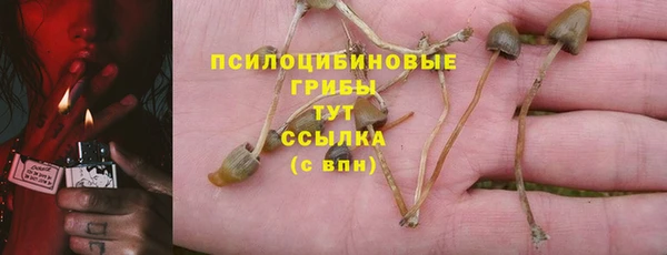 МДПВ Алзамай