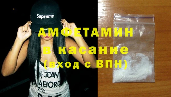 мет Алексин