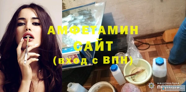 мет Алексин