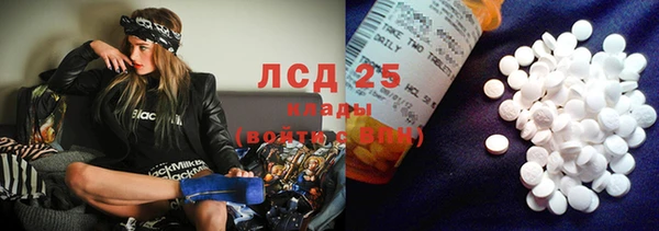 мет Алексин